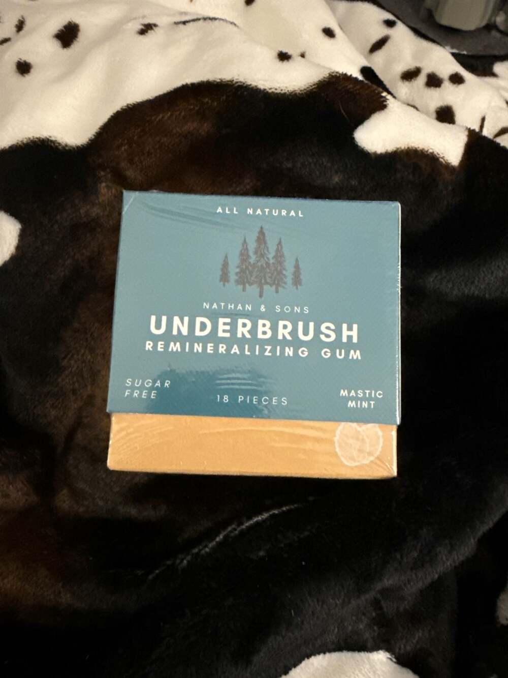 Nathan & Sons Underbrush Remineralizing Mastic Mint Sugar Free Gum 18 Pieces